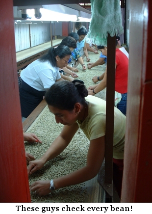 These guys check EVERY bean!